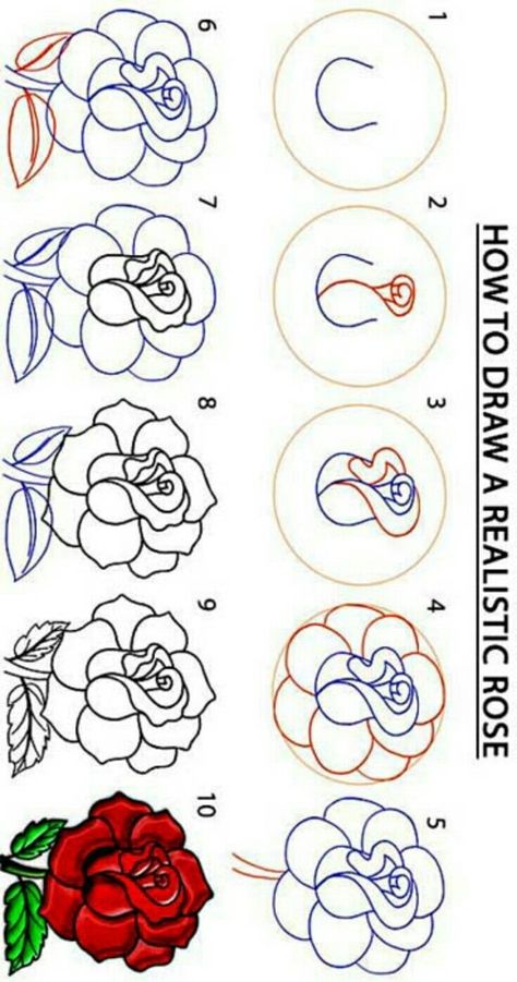 Rose Tutorial Drawing, Rose Drawing Simple Step By Step, How To Draw A Rose Step By Step, Rose Drawing Step By Step, Simple Flower Drawing Easy, How To Draw A Rose, Easy Flower Sketches, Doodle Minimalist, Rose Drawing Tutorial