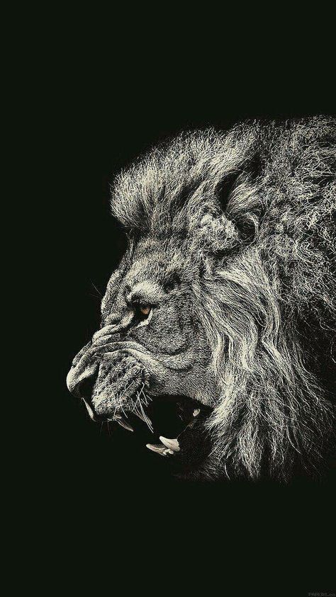 Lion 4k Wallpaper Iphone, Black Lion Wallpaper, Lion 4k Wallpaper, Lion Iphone Wallpaper, Lion Wallpaper Iphone, Lion Hd Wallpaper, Full Black Wallpaper, Alex Costa, Fierce Lion