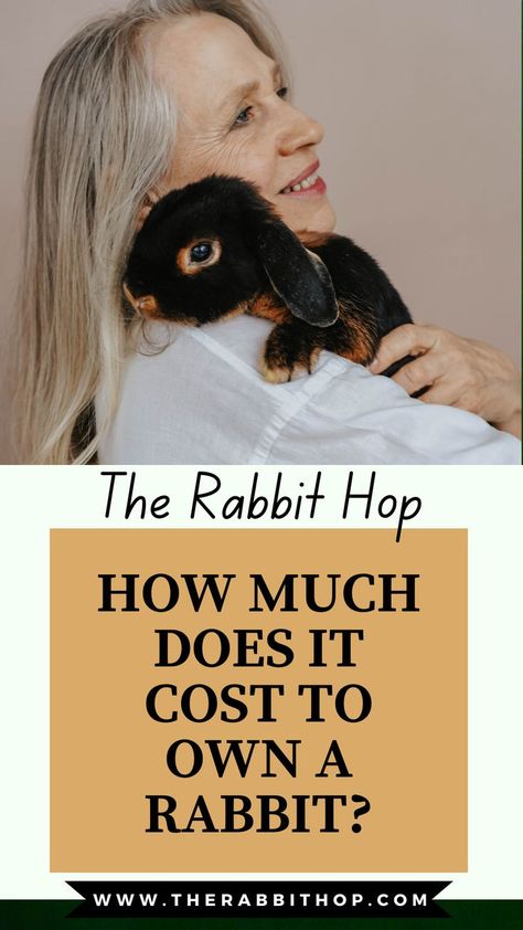 There are a lot of things to take into account when you’re thinking about adding a bunny to your family. How much does it cost to own a rabbit? What kind of supplies do you need? What kind of food should they eat? Rabbit Feeding, Green Rabbit, Large Rabbits, Mini Lop, Small Rabbit, Rabbit Care, Dane Dog, Rabbit Food, Pet Bunny