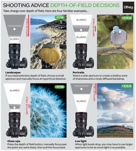 Photography cheat sheet: Depth-of-field decisions | Digital Camera World Photography Infographic, Depth Of Field Photography, Photography Cheat Sheet, Manual Photography, Digital Photography Lessons, Photography Settings, Photography Cheat Sheets, Camera World, Popular Photography