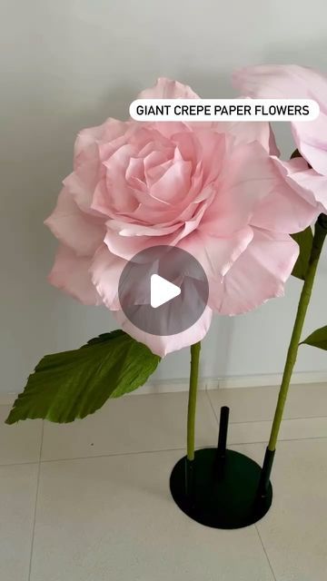 The Paper Bloom Singapore on Instagram: "Giant freestanding crepe paper flowers💓 ** #thepaperbloomsg #giantcrepepaperflowers #freestandinggiantflowers #jumboflowers #handcraftedlargeflowers #flowersfordecor #storedecor #eventdecor #events #launchevent #paperflowerssg #sgpaperartist #paperartwork" Giant Flower Wedding, Paper Peonies Tutorial, Giant Paper Flower Tutorial, Crepe Paper Flowers Tutorial, Giant Flowers Diy, Butterfly Garden Party, Crepe Paper Flowers Diy, Tissue Paper Flowers Diy, Paper Peonies