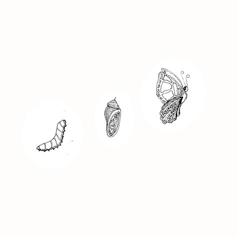 The Caterpillars Journey 🐛 ✨ A while ago I sketched a little doodle of a caterpillar drawing a butterfly 🦋 - #3 - I didn’t think much of it at the time, but when I was thinking of something to represent FrankCreates the caterpillar felt like a perfect fit. The caterpillar represents the beginning of an inevitable growth phase; caterpillar to chrysalis to butterfly 〰️ a process that requires time and effort on the caterpillars behalf, in order to fly 🦋✨🙌🏼 I’m approaching FrankCreates as ... Butterfly Phases Drawing, Cattipillars Drawing, Caterpillar Graphic Design, Caterpillar To Butterfly Drawing, Catipillar Drawing Simple, Catipillar To Butterfly, Caterpillar Tattoo Simple, Tattoo Caterpillar, Chrysalis Drawing