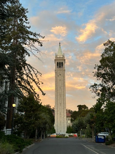 Uc Berkeley Dorm, Uc Berkeley Aesthetic, College Manifestations, Notion Background, University Motivation, Berkeley University, Cal Berkeley, College Vision Board, California Tattoo