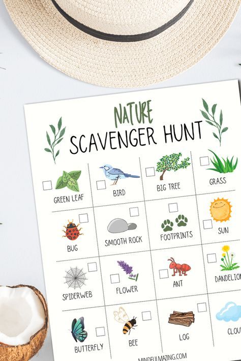 Bug Scavenger Hunt Free Printable, Hiking Scavenger Hunt For Kids, Forest Homeschooling, Nature Trail Scavenger Hunt, Toddler Scavenger Hunt, Color Scavenger Hunt, Nature Scavenger Hunt For Kids, Nature Scavenger Hunt Printable, Nature Walk Scavenger Hunt