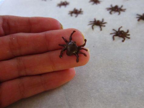 Chocolate Spiders Recipe, Spider Food, Brown Sugar Buttercream, Bug Food, Chocolate Spiders, Halloween Havoc, Halloween Foods, Diy Chocolate, Icing Tips