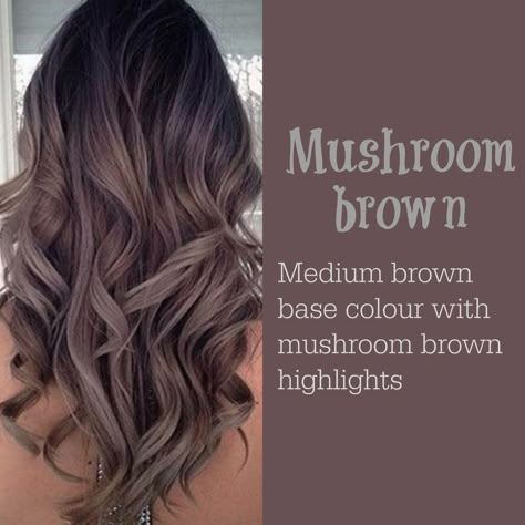 Mushroom Brown Hair Color 2017, Mushroom Brown, Vlasové Trendy, Brown Hair Balayage, Ombré Hair, Winter Hair Color, Brown Highlights, Hair Color And Cut, New Hair Colors