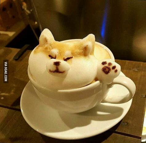 Doge coffee #sowow (cafe reissue) - 9GAG A Cat, Coffee Cup, Coffee, Art