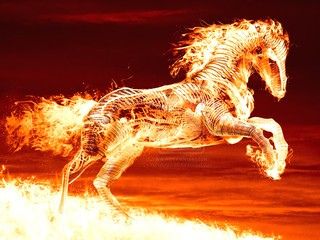 Flaming_Horse Fire Horse, Scottish Independence, Cool Fire, Year Of The Horse, Fantasy Horses, Fire Image, Flame Art, Horse Wallpaper, Horse Drawing