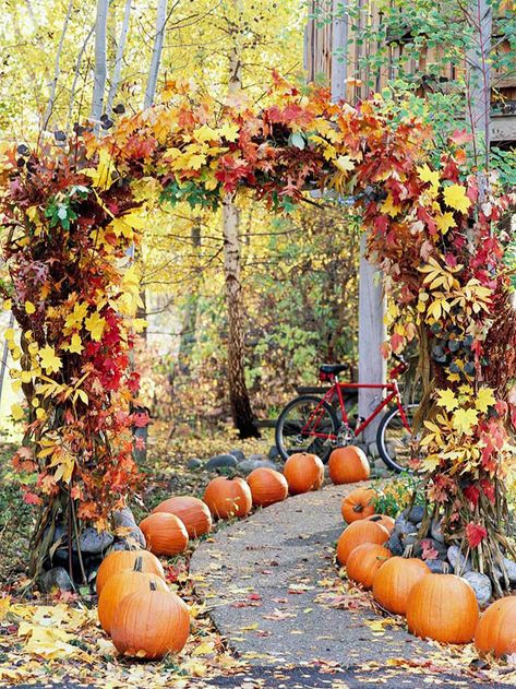 Pumpkins on Parade - Add some pizzazz to your front yard by lining a walkway with pumpkins. Around Halloween, replace some of the whole pumpkins with carved jack-o'-lanterns. Halloween Engagement, Wedding Aisles, Dekorasi Halloween, Fall Outdoor Decor, Wedding Inspiration Fall, Fabulous Fall, Mod Wedding, Fall Outdoor, Wedding Aisle