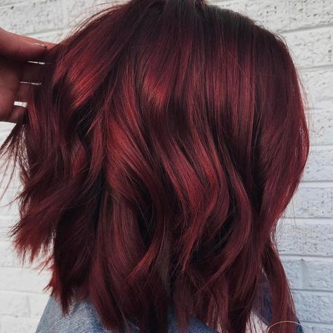 Photos Of Mulled Wine Hair Color Prove It's The '90s Meets Holiday Perfection Mulled Wine Hair, Winter Hair Trends, Wine Hair Color, Redken Hair Products, Wine Hair, Hair Gloss, Hair Color Burgundy, Burgundy Hair, Hair Trend