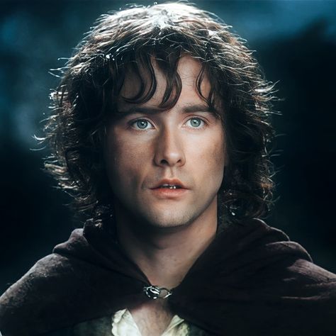 Pippin Lord Of The Rings, Pippin Took Aesthetic, Merry Lord Of The Rings, Pippin Took, Lotr Pippin, Merry Lotr, Lord Of The Rings Pippin, Pippin Lotr, Merry Pippin