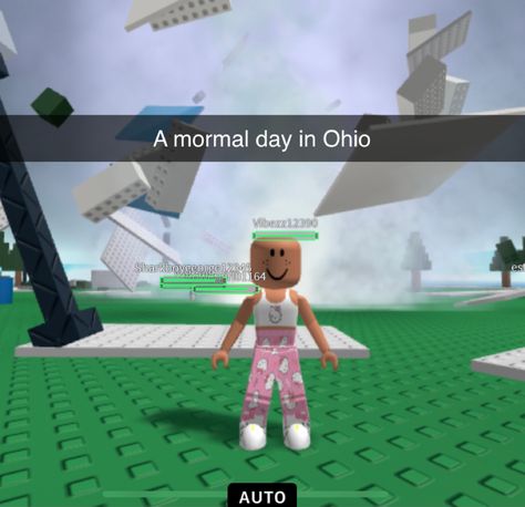 Ohio Memes Funny, Only In Ohio, Ohio Memes, Roblox Animation, Dark Memes, Roblox Memes, Funny Pics, Ohio, Funny Gif