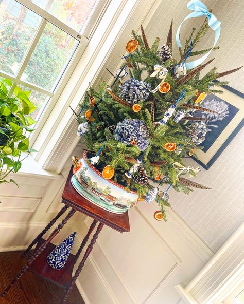 Fruit On Christmas Tree, Blue And Orange Dining Room Ideas, Blue Toile Christmas Tree, Blue And Orange Christmas Decor, Orange And Blue Christmas Tree, Blue And Orange Christmas Tree, Chinoiserie Thanksgiving, Joanna Gaines Christmas Tree, Hydrangea Christmas Tree