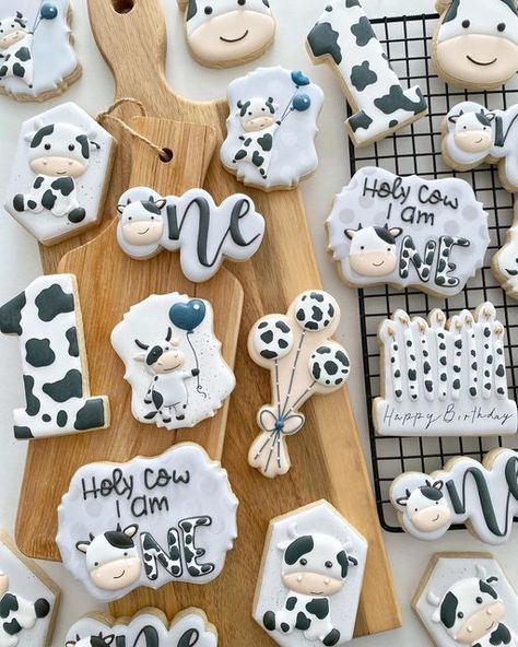 Cookies~Kare~(like Care) 🇨🇦🍪 on Instagram: "Holy Cow someone turned 1! 🐮 . Number 1, Stoneybrook Trail plaque, double hexagon and giraffe turned cow cutter from @_emmas__sweets . . . #decoratedcookie #cookiesofinstagram #cookieart #cookiedecorating #foodphoto #royalicingcookies #sugarcookies #baking #icingcookies #oakvillecookies #cookieideas #decoratedcookies #icedcookies #royalicing #shortbreadcookies #customcookies #cookies #cookieinspo #cookiegram #thisweekoninstagram #cowcookies #birthd Cow Cookies, Baby First Birthday Themes, First Birthday Cookies, Cow Birthday Parties, Farm Cookies, Barnyard Birthday Party, Cookies Theme, Boys 1st Birthday Party Ideas, Cowboy Birthday Party