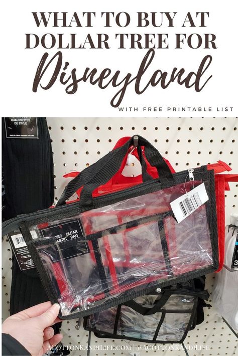 Dollar Store Disney Trip, Best Bag For Disneyland, Disney Gift Bags For Trip, Disney Swag Bag Ideas, Disney Goodie Bags For Trip, Disneyland Basket Ideas, Dollar Tree Disney World Prepping, Disney Trip Gift Basket, What To Put In A Disney Surprise Bag