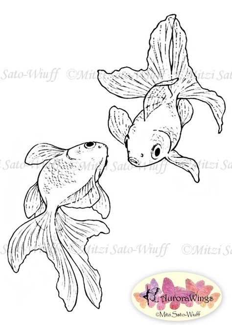 Fancy goldfish Goldfish Drawing, Goldfish Tattoo, Fancy Goldfish, Drawn Fish, Koi Art, Carpe Koi, Fish Drawings, Gourd Art, Fish Art