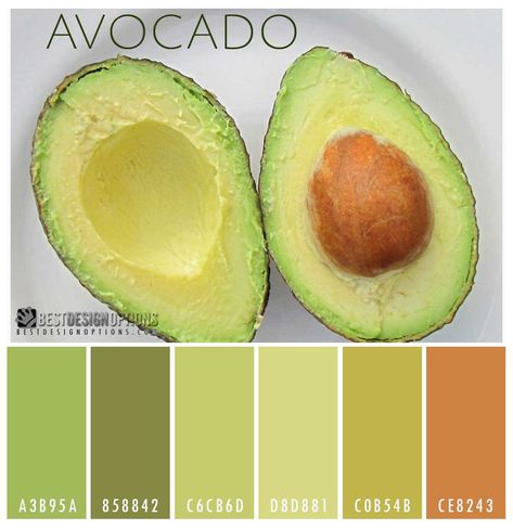 Image result for seeds color palette avocado green coral Avocado Oil Hair, Homemade Hair Treatments, How To Cut Avocado, Homemade Hair Mask, Color Palette Bright, Green Fruit, Delicious Fruit, Moisturize Hair, Avocado Green