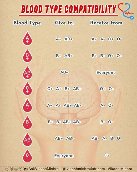 Blood Type Compatibility Blood Type Chart, Blood Compatibility, Bae Ideas, Blood Type Personality, Nurse Bae, Blood Types, Blood Components, Biology Projects, Nursing School Motivation