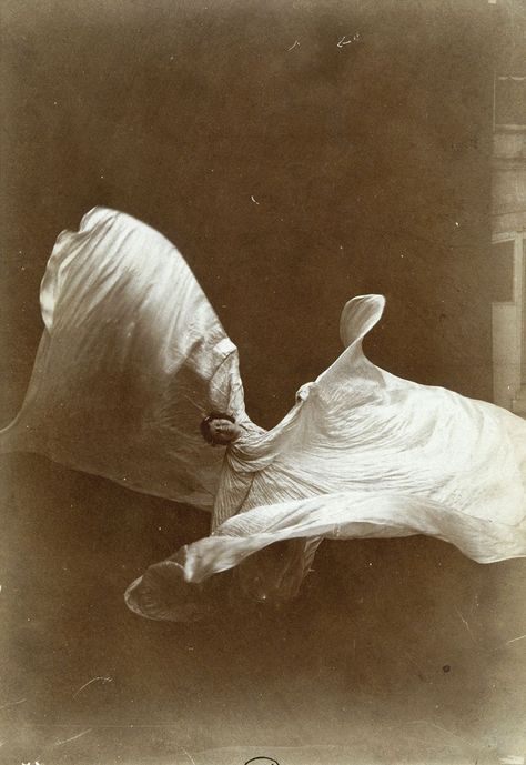 Loie Fuller, White Photo, Veil, Dancing, Cow, Black And White, White, Black