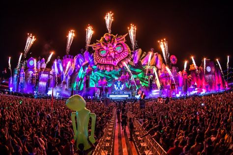 edc-vegas-2015-kinetic-field-Doug-Van-Sant-for-Insomniac-1 Edc Vegas, Rave Outfits Edc, George Lopez, Edc Las Vegas, Electronic Music Festival, Electric Daisy, Fest Outfits, Electric Daisy Carnival, Electro House