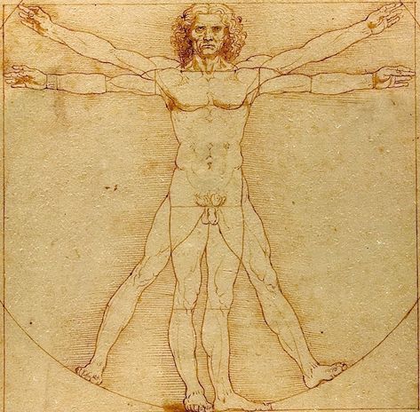 The Vitruvian Man by Leonardo da Vinci Leonardo Da Vinci Dibujos, Da Vinci Vitruvian Man, Venice Travel Guide, Giovanni Bellini, World Icon, Vitruvian Man, Sun Tzu, Venice Travel, Crop Circles