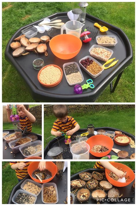 Bird feed mixer tray, lots of different food/seed and stuff to scoop/mix with. Scoop dry food into the feeders or mix with melted lard to squish into coconut shells or fat balls. (Careful though, melted lard is hot! Wait until it cools down enough to touch before giving to children). #birdfeeder #tufftray #tufftrayideas #preschool Birds Tuff Tray Ideas, Big Garden Bird Watch Activities, Bird Watch Activities Eyfs, Bird Station Ideas, Playroom Stations, Tuff Table, Yarning Circle, Roald Dahl Activities, Spring Lesson Plans