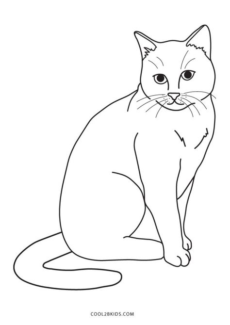 Free Printable Cat Coloring Pages For Kids Printable Cat Coloring Pages, Cat Colouring, Owl Coloring, Rock Animals, Cat Coloring Pages, Cat Template, Cat Outline, Cats Art Drawing, Colorful Hairstyles