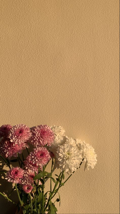 Esthetics Pics, Blank Pages Aesthetic, Iphone Wallpaper Ocean, Book Photography Instagram, Paper Background Design, Vintage Flowers Wallpaper, Wallpaper Flowers, Flowery Wallpaper, Cute Pastel Wallpaper