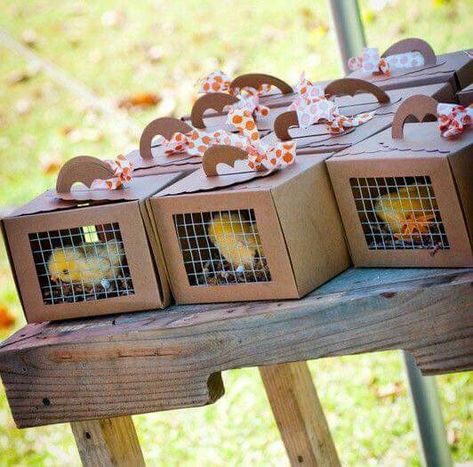 Petting Zoo Ideas, Birthday Party Luxury, Petting Zoo Birthday Party, Petting Zoo Birthday, Zoo Birthday Party, Zoo Ideas, Barnyard Birthday Party, Farm Theme Birthday, Farm Animal Party