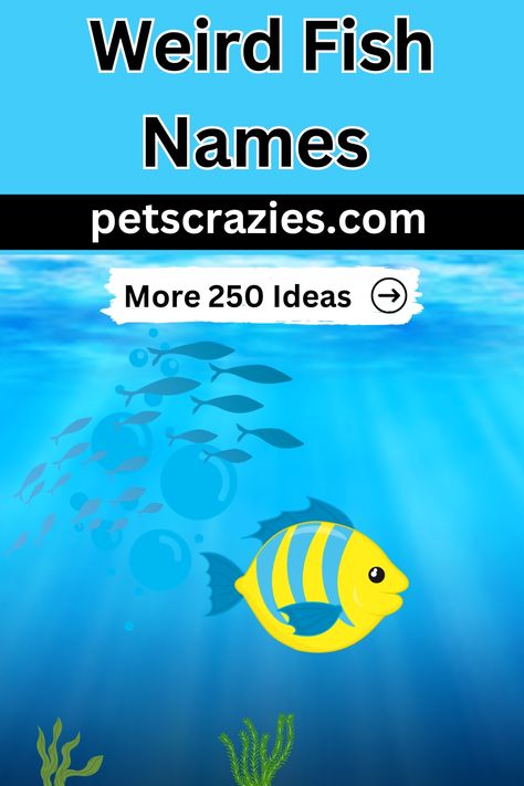 Dive into the ocean of hilarity with these weird fish names! Explore the fin-tastic world of aquatic humor and discover the quirkiest names for our underwater friends. Whether you're a fish enthusiast or just love a good laugh, these fishy monikers are sure to make a splash at your next gathering. Get ready for a sea-riously amusing adventure with the weirdest fish names you've ever heard! #WeirdFishNames #OceanHumor #FishyLaughs #UnderwaterComedy #AquaticAnecdotes" Fish Names Ideas Funny, Funny Fish Names, Beta Fish Names, Fish Names, Black Goldfish, Funny Fish, Beta Fish, Weird Fish, Names Ideas