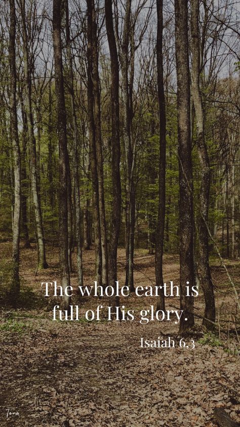 Bible Verses About The Beautiful Earth, Bible Verse About Beautiful Creation, Nature Wallpaper With Bible Verse, Bible Verse About Beauty Of Nature, Scripture About Natures Beauty, Bible Nature Quotes, Quotes About Gods Creation Nature, Give God The Glory Quotes, Bible Verse About Nature Beauty