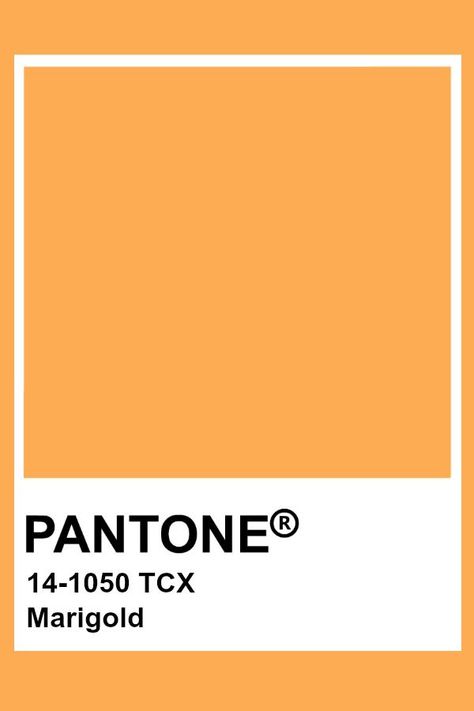 Couleur de l’année 2022 PRINTEMPS-ÉTÉ 2022 PANTONE COLORS TENDANCES Pantone Orange, Pantone Tcx, Pantone Color Chart, Pantone Swatches, Pantone Palette, Pantone Colour Palettes, Mock Orange, Live Wire, Color Chip