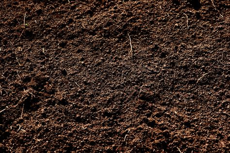 Soil, not dirt Dirt Aesthetic, Dirt Texture, Moldes Halloween, Soil Texture, Natural Fertilizer, Garden Soil, Types Of Soil, Surface Textures, Macro Photography