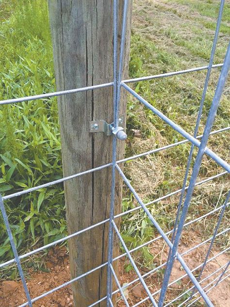 “It’s a simple way to connect livestock panels to T-posts and wood posts. They work much faster than wire or cable ties and result in a stronger fence,” says Phillip Morrow, One Man Fencing, LLC, about his new Livestock Panel Connectors.  The Connectors are available in 2 different styles, one for T-posts and the oth... Shop Hacks, Fence Building, Farming Tips, Farm Hacks, Agriculture Equipment, Farming Tractors, Barn Hacks, Cattle Panels, Goat Barn