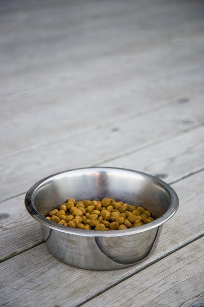 Jupiterimages/Photos.com/Getty Images Dog Kibble Recipe, Diy Dog Food, Make Dog Food, Dog Treats Homemade Recipes, Food Dog, Healthy Dog Food Recipes, Puppy Food, Dog Recipes, Dog Treat Recipes