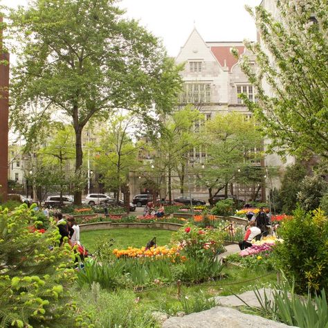 Community Green Space, Urban Landscape Design City Gardens, Community Garden Aesthetic, Public Garden Landscape, Community Garden Architecture, Community Garden Design, Cozy Farmhouse Bedroom Ideas, Public Garden Architecture, Public Garden Design