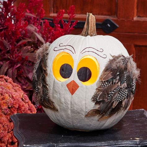 This adorable owl pumpkin will brings smiles to your friends and family. See details on how to make him in our story (plus lots more pumpkin ideas!). Creative Pumpkin Decorating, Owl Pumpkin, Pumpkin Painting Ideas, Easy Fall Crafts, Creative Pumpkins, Zucca Halloween, Pumpkin Painting, Mini Pumpkins, Fall Decorating