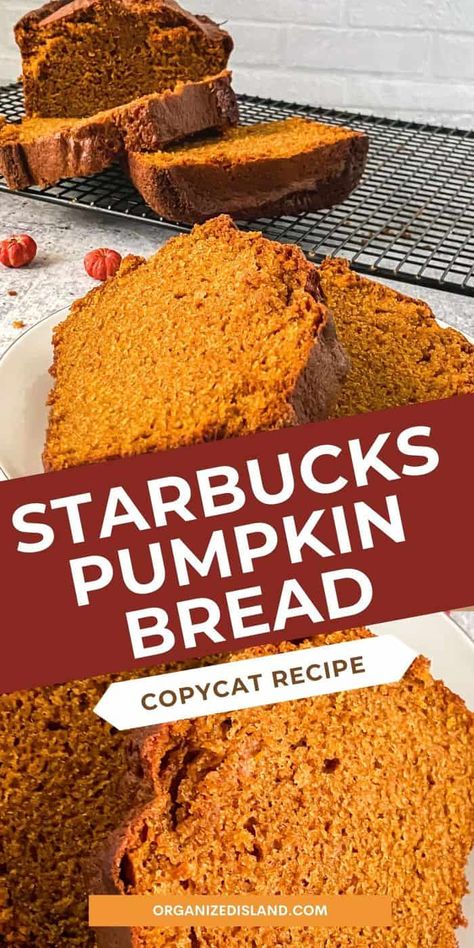 Light Pumpkin Desserts, Pumpkin Bread Recipe Easy, Pumpkin Bread Starbucks Copycat, Homemade Pumpkin Bread, Fall Bread Recipes, Pumpkin Bread Recipe Healthy, Best Pumpkin Bread Recipe, Starbucks Pumpkin Bread, Bread Pumpkin