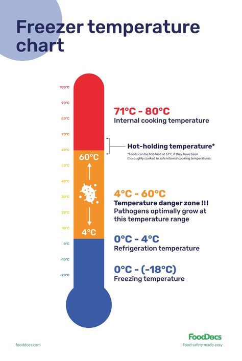 Freezer Temperature Chart | Download Free Poster Food Safety Posters, Food Safety And Sanitation, Food Safety Training, Food Engineering, Culinary Lessons, Temperature Chart, Kitchen Safety, Danger Zone, Raw Foods