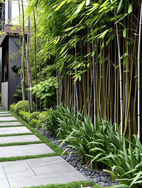 Fast-Growing Plants: Bamboo Privacy Screen and Manicured Garden Path Bamboo Front Yard, Bamboo Trees Landscaping, Bamboo Courtyard Garden, Tall Plants Outdoor Privacy Fences, Outdoor Fencing Ideas, Garden Bamboo Ideas, Bamboo Landscape Ideas, Bamboo In Garden, Bamboo Courtyard