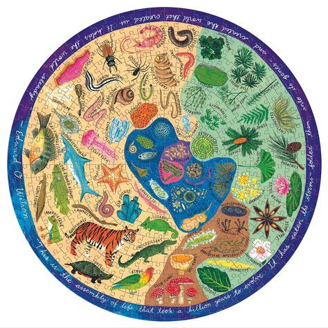 Take on the extra challenge of eeBoo's Piece and Love Biodiversity 500 piece round puzzle! As you puzzle, learn the building blocks of biodiversity—the wide variety of organisms that make up all the life on our planet. Like a jigsaw puzzle, every organism is an integral part of a larger, vital whole. Try this puzzle and get the big picture! Illustrations by Kelsey Oseid. Puzzle features this quote on the border: “This is the assembly of life that took a billion years to evolve. It has eaten the Gifts For Children, 500 Piece Puzzles, Educational Games, Learning Toys, Big Picture, Our Planet, Building Blocks, Jigsaw Puzzles, Recycling