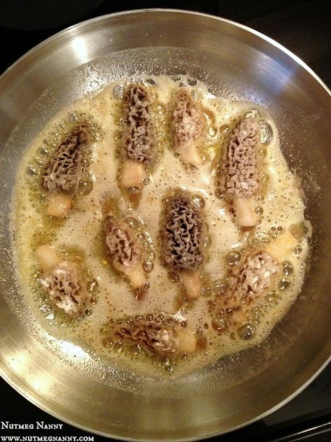 These pan fried morel mushrooms are the perfect way to use up the delicious spring mushroom. Lightly pan fried in butter and totally delicious! So get out and forage those mushrooms and get to cooking! Morels Mushrooms Recipes, Morrell Mushroom Recipes, Moral Mushrooms, Morel Recipes, Morel Mushroom Recipes, Wild Mushroom Recipes, Morel Mushrooms, Foraged Food, Morel Mushroom