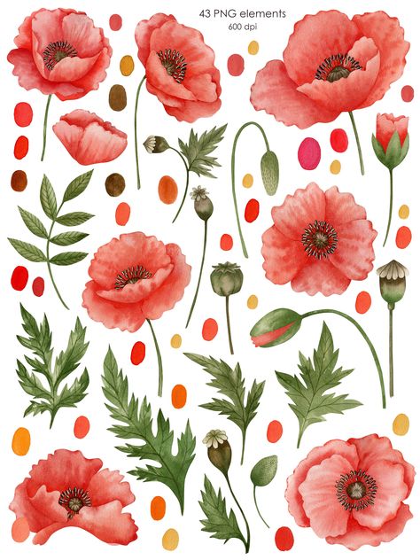 Poppy Clipart, Poppy Flower Drawing, Poppy Flower Painting, Tiny Flower Tattoos, Ipad Backgrounds, Poppy Drawing, Saree Painting, Floral Doodle, Watercolor Poppies