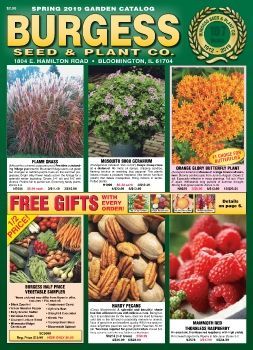 Heirloom Seeds Catalog, Growing Vegetables In Pots, Nursery Plants, Landscaping Backyard, Garden Catalogs, Yard And Garden, Plant Catalogs, Gift Catalog, Free Catalogs