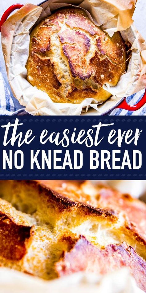 No Knead Bread Recipe, Dutch Oven Bread, Knead Bread Recipe, Knead Bread, Best Bread Recipe, Dutch Oven Recipes, No Knead Bread, No Knead, Quick Bread Recipes