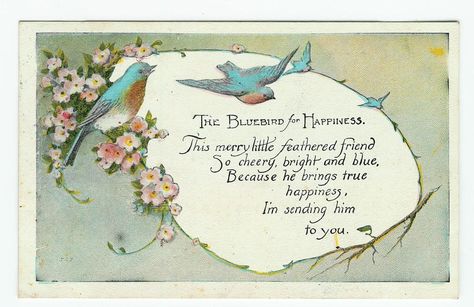 The Bluebirds for Happiness - Obverse Bird Poems, Bluebird Of Happiness, Bluebird Vintage, Vintage Birthday Cards, Blue Birds, Vintage Birthday, Vintage Greeting Cards, Old Paper, Little Bird