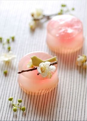 Desserts Japonais, Patisserie Fine, Books Fashion, Japanese Sweets Wagashi, Pastel Cupcakes, Mapo Tofu, Japanese Dessert, Japanese Dishes, Fancy Desserts