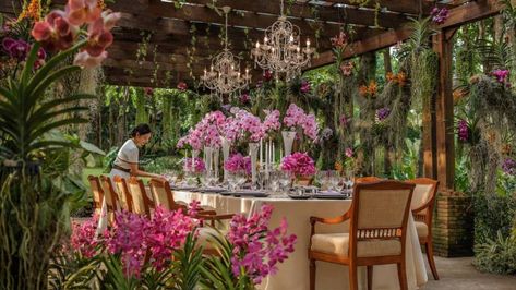 Thailand Wedding Venues, Chiang Mai Hotel, Thailand Wedding, Luxury Honeymoon, Four Seasons Resort, Thailand Hotel, Orchids Garden, Garden Wedding Venue, Rustic Wedding Venues