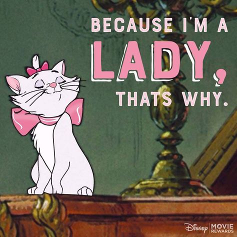 "Because I'm a lady, that's why." Daphne Greengrass Aesthetic, Aesthetic Harry Potter, Old Disney Movies, Logo Video, 귀여운 음식 그림, Marie Cat, Charmmy Kitty, Im A Lady, Marie Aristocats