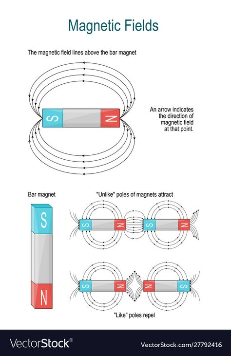 Magnetic Field Lines, Magnets Science, Basic Physics, Earth's Magnetic Field, Physics Notes, Shape Vector, Magnetic Force, Physics And Mathematics, Science Worksheets